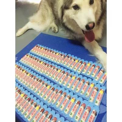 寵物奶酪 蘇州寵物食品的“營養小方”，46一箱包郵108條值不值？
