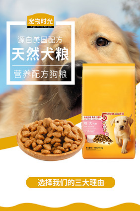 寵物食品選擇指南 為愛寵提供均衡營養與美味享受